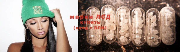 индика Абинск