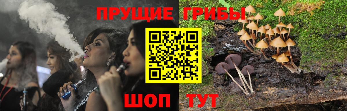 Псилоцибиновые грибы Magic Shrooms Курск