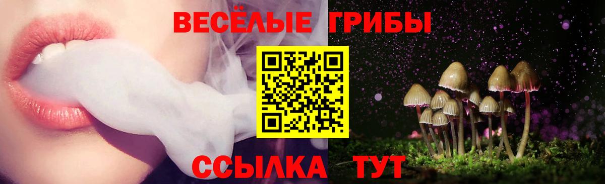 Курск  Галлюциногенные грибы Magic Shrooms  Вход с VPN 